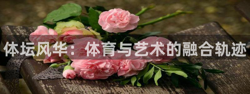 谈球吧体育官网