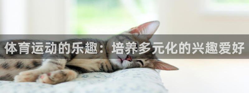 谈球吧