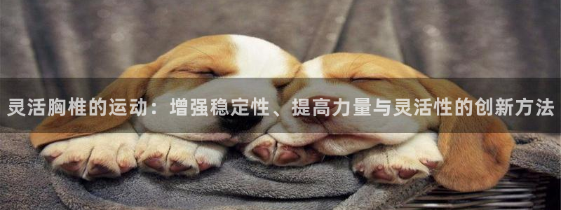 谈球吧：灵活胸椎的运动：增强稳定性、提高力量与灵活性的创新方法
