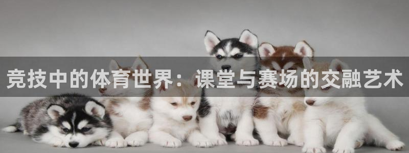 谈球吧：竞技中的体育世界：课堂与赛场的交融艺术