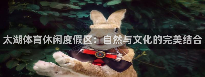 谈球吧