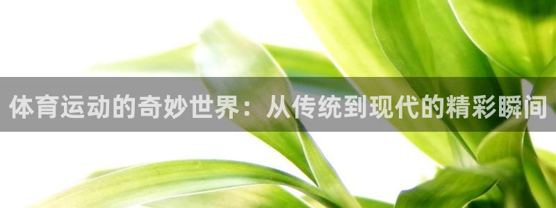 谈球吧体育官网：体育运动的奇妙世界：从传统到现代的精彩瞬间