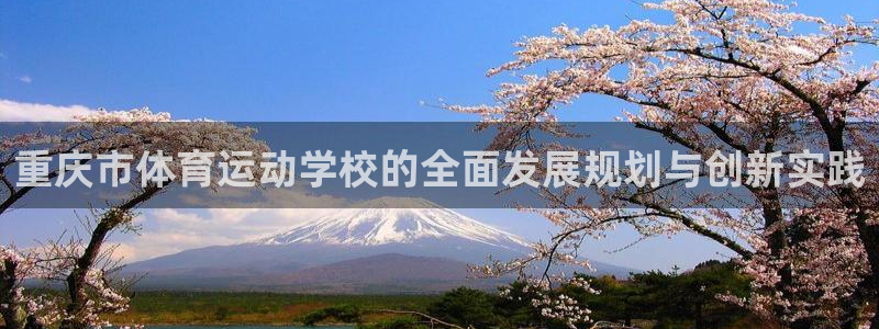 谈球吧体育：重庆市体育运动学校的全面发展规划与创新实践