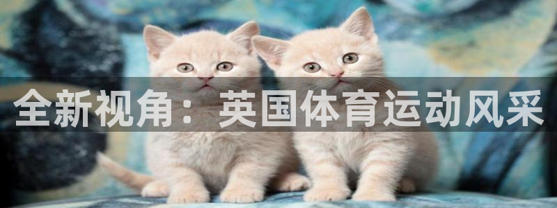 谈球吧体育官网：全新视角：英国体育运动风采