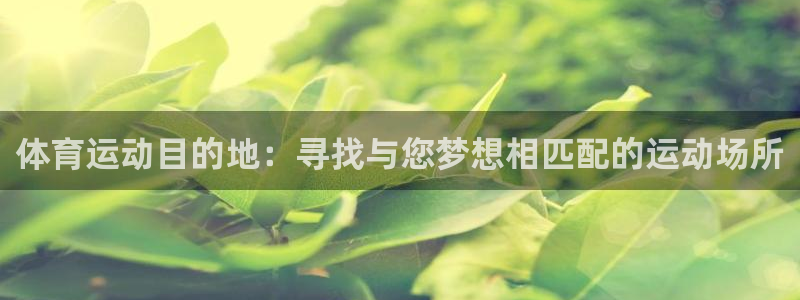 谈球吧体育官网：体育运动目的地：寻找与您梦想相匹配的运动场所