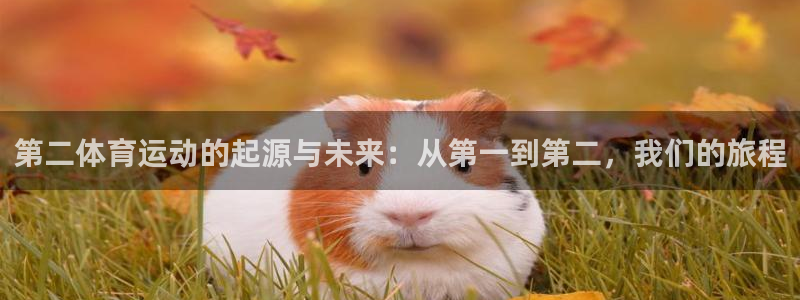 谈球吧体育