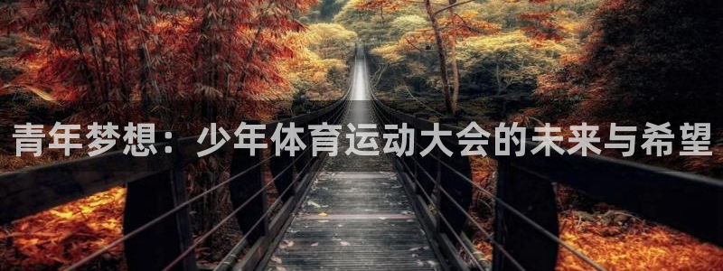谈球吧