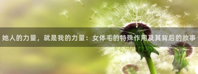谈球吧