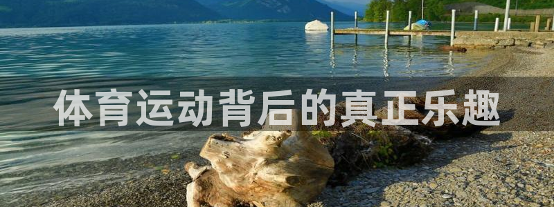 谈球吧体育
